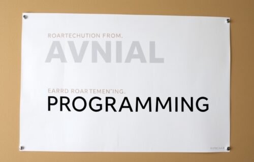RoarTechMental Programming Advisor from Riproar: What It Is, What the Evidence Says, and How to Use the Ideas